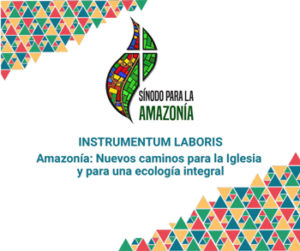 Sínodo para la Amazonía